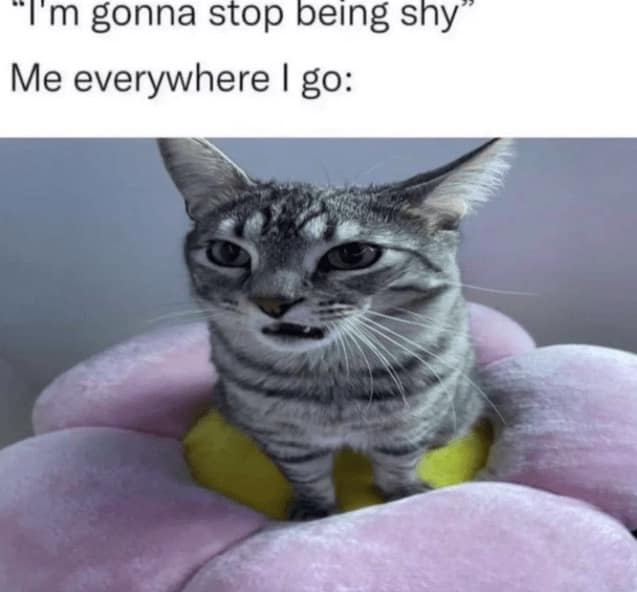 Tabby cat in plush flower bed giving awkward look.