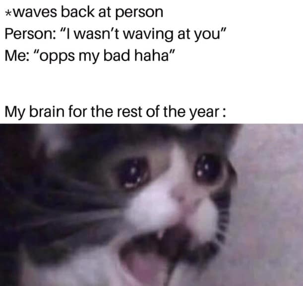 Close-up teary cat face reacting with shocked, embarrassed expression.