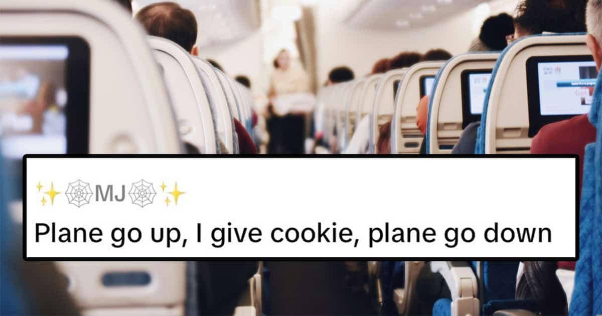 A funny meme over an airplane cabin where someone badly explains their job.