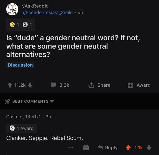 Reddit thread about gender-neutral “dude” suggests sci-fi alternatives including clanker.
