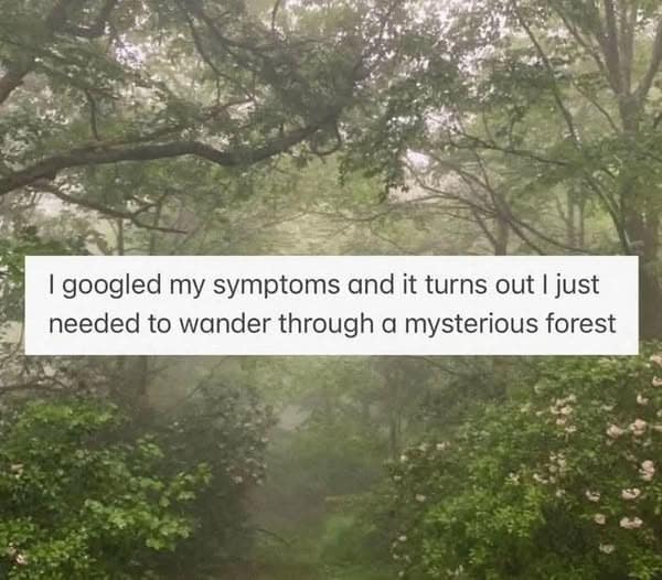 Foggy green forest path with caption about googling symptoms and needing to wander a mysterious forest.