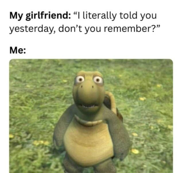 Scene from the movie “Over the Hedge” showing a confused-looking turtle paired with a caption about forgetting what a girlfriend just said.