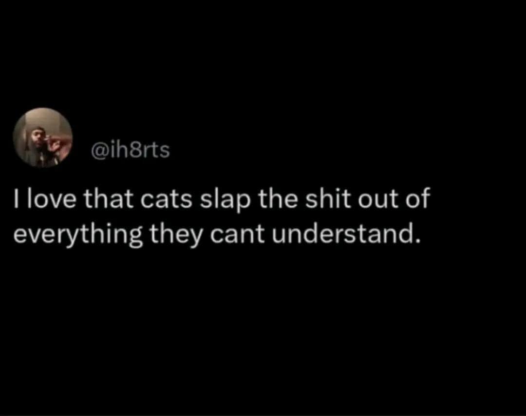 Tweet from @ih8rts reading, “I love that cats slap the s*** out of everything they can't understand.”