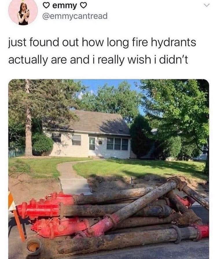 Classic meme tweet showing how long underground fire hydrant pipes really are, with red hydrants laid out on a lawn
