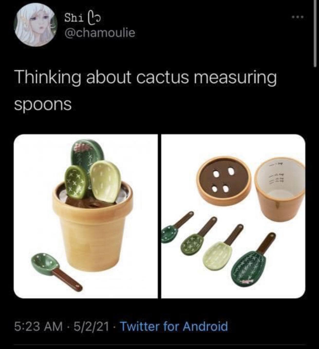 Measuring spoons designed like cactus paddles sit inside a plant pot container.