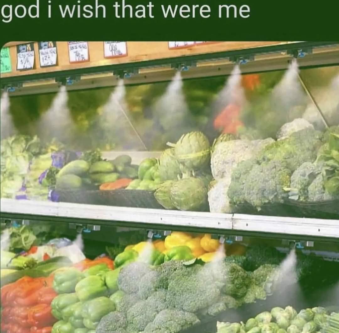 classic memes image of grocery store produce under misting spray with caption “god i wish that were me”