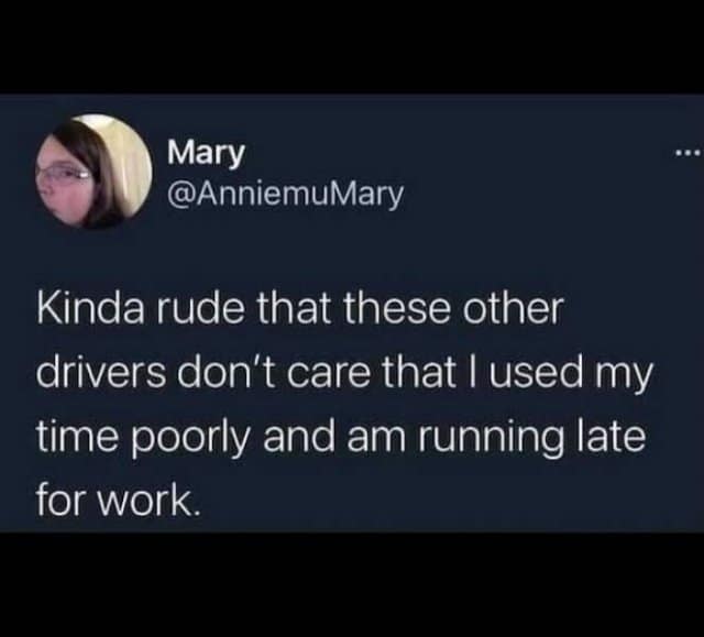 Tweet grumbling that other drivers don’t care the author used time poorly and is late for work—relatable classic memes gripe.
