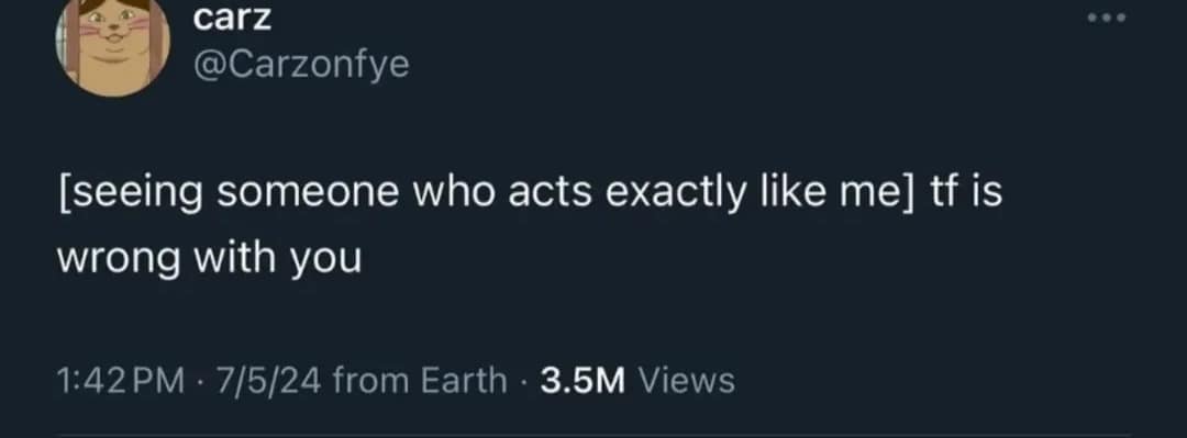 A tweet reading "[seeing someone who acts exactly like me] tf is wrong with you."
