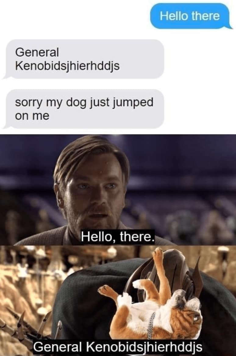 Text conversation: “Hello there” leads to “General Kenobidsjhierhddjs” due to a dog jumping on the phone; includes Star Wars Obi-Wan meme and dog.