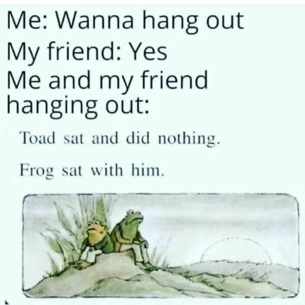 Meme showing Toad and Frog sitting silently, reflecting a chill hangout.