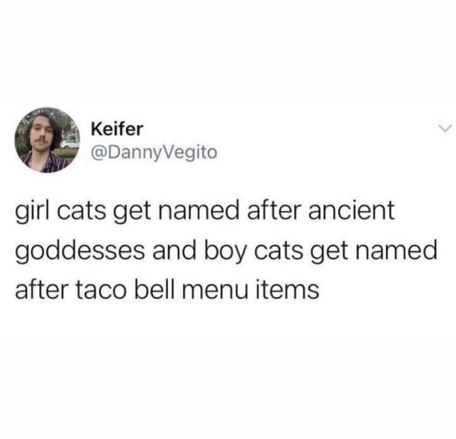 Tweet: “girl cats get named after ancient goddesses and boy cats get named after Taco Bell menu items.”