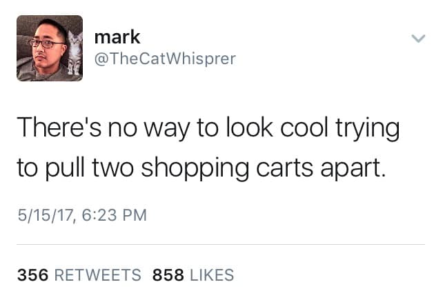 Tweet claiming no one looks cool separating two nested shopping carts.