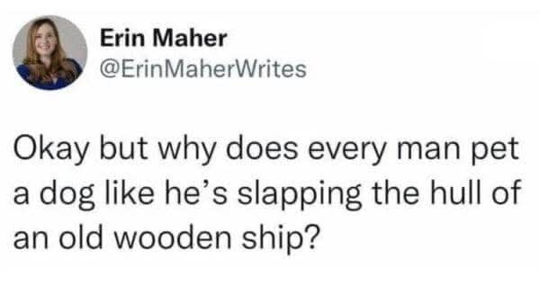 A tweet asking why men pet dogs like they’re slapping an old ship.
