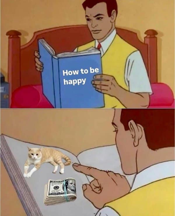 Two-panel comic: man reads ‘How to be happy’; inside the book are a cat and a stack of cash.”