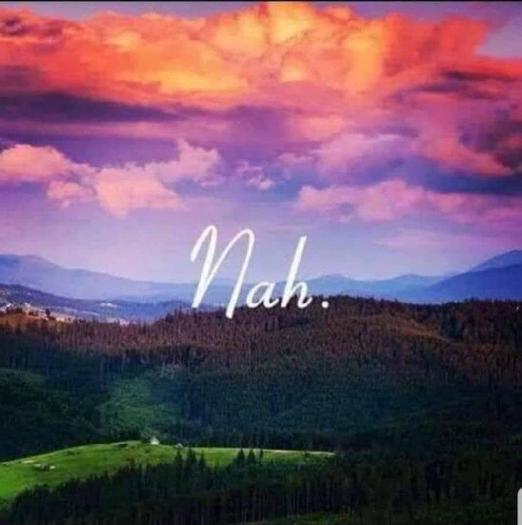 classic memes landscape with purple clouds and the single word “Nah” across the scene
