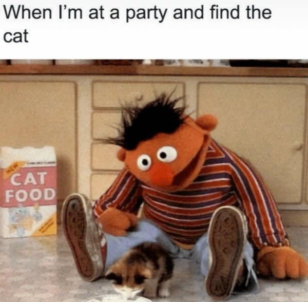Ernie from Sesame Street sitting on the floor grinning at a tiny kitten by a box of cat food