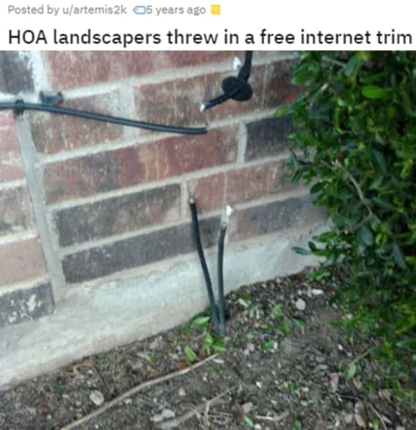A condo HOA nightmare where the landscapers accidentally cut the homeowner's internet cable.