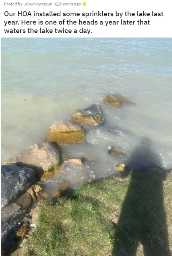 A condo HOA nightmare of a sprinkler that was installed to water the lake twice a day.