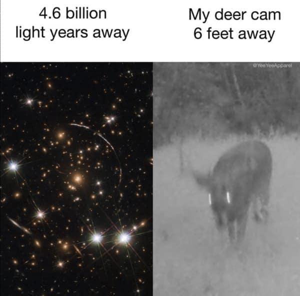 Split image showing a sharp NASA photo of distant galaxies compared to a blurry deer cam image.
