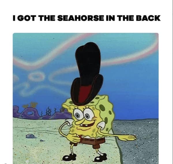 Spongebob wearing cowboy gear with a tall black hat singing about his seahorse.