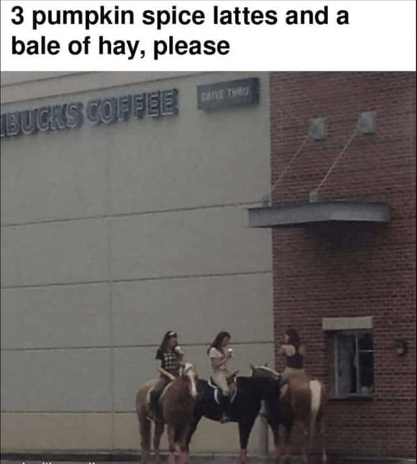 Three women on horseback at a Starbucks drive-thru ordering drinks.