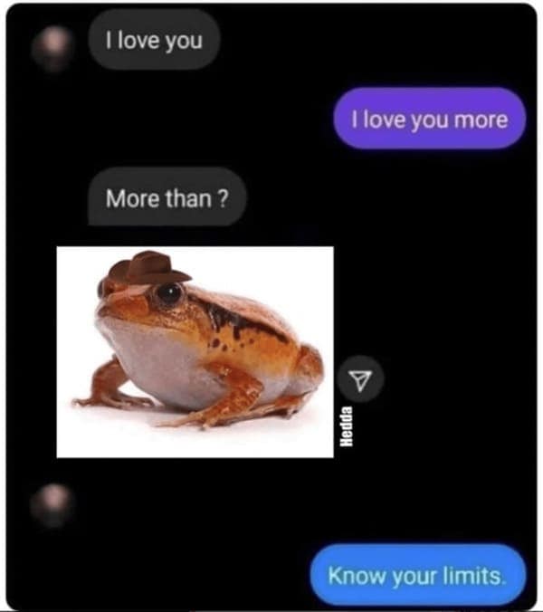 Text message conversation interrupted by an image of a frog wearing a cowboy hat.