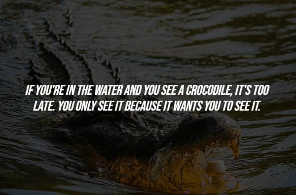 Crocodile swimming toward camera with text warning about spotting it too late