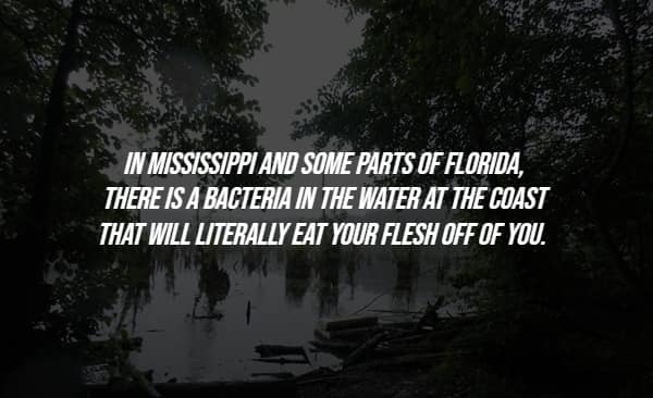 Murky coastal water with fact about flesh-eating bacteria