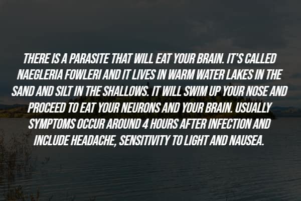 Lake with text about brain-eating amoeba Naegleria fowleri