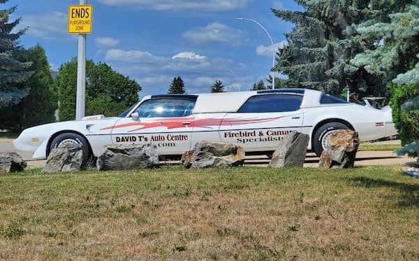 cursed cars stretched limo with Firebird Camaro branding
