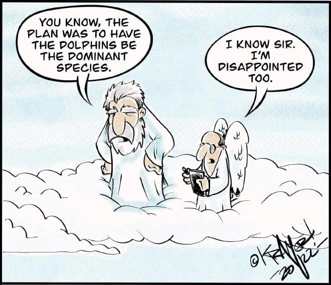 God and an angel look down from heaven, lamenting that dolphins weren’t chosen to rule the Earth