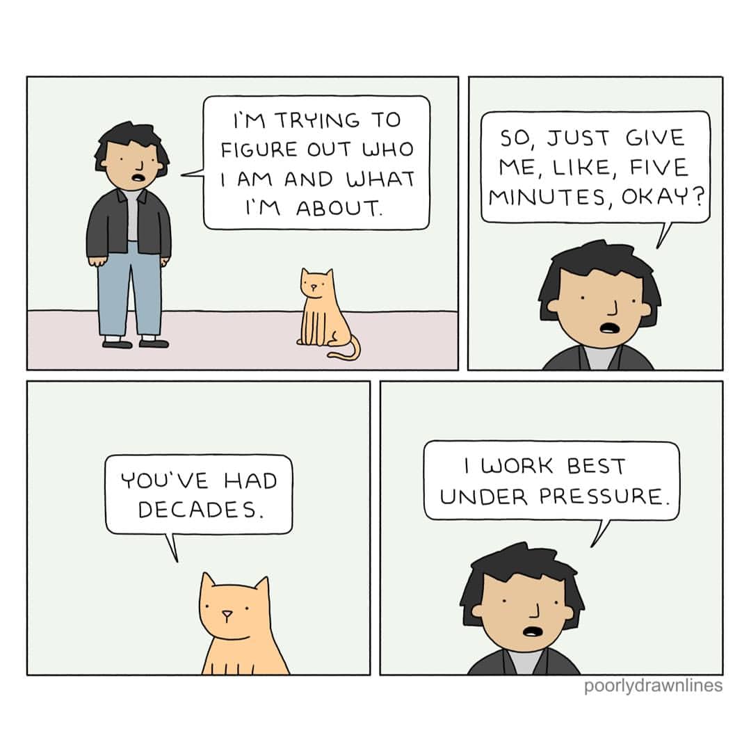 A man asks a cat for five minutes to figure out who he is, and the cat roasts him for needing decades.