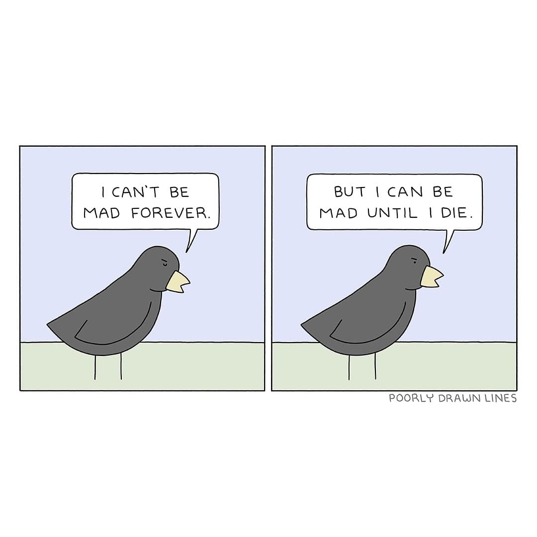 A bird admits they can’t stay mad forever, but concludes they can stay mad until death.