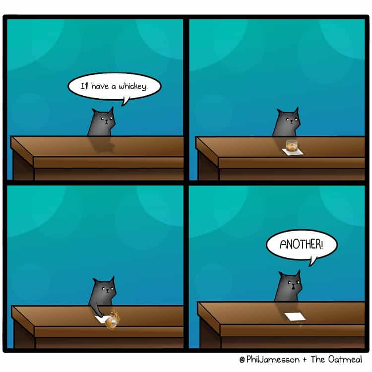 Bar joke from dark humor comics with a small black cat ordering a whiskey and then demanding another.
