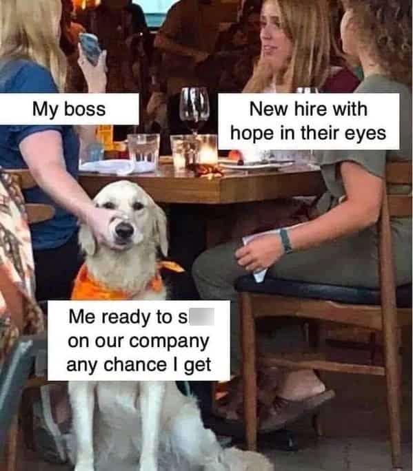 A dark humor work meme with a dog representing a jaded employee about to crush a new hire's spirit.