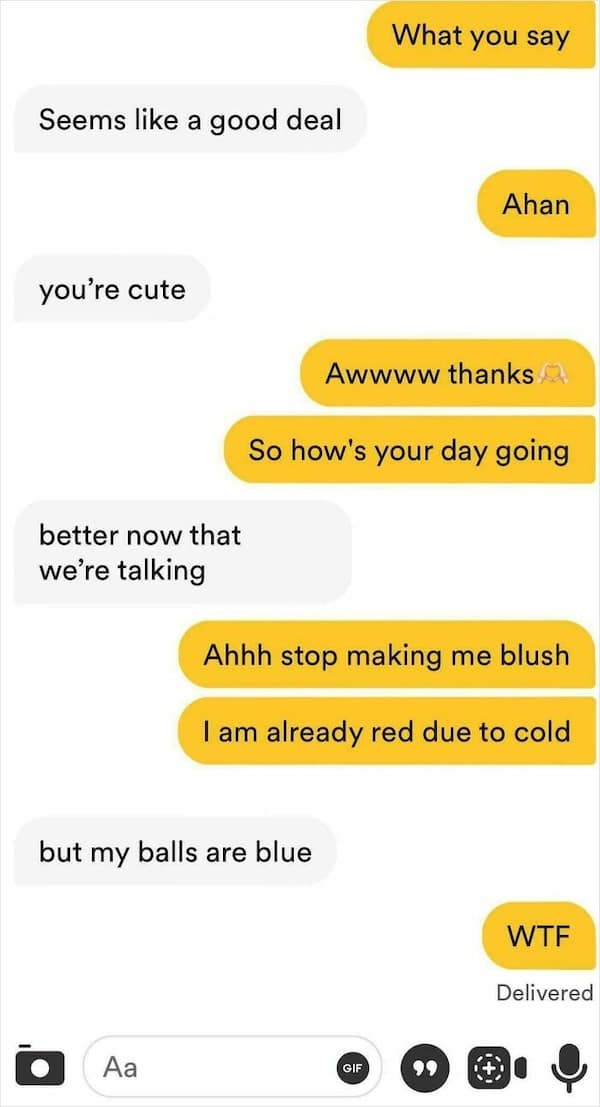 A dating app text conversation with a flirty conversation that turns crude.