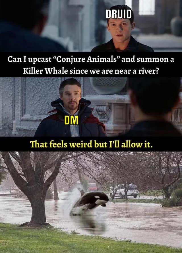 Druid asks DM to summon a killer whale in a river; DM reluctantly agrees; image of whale jumping in flooded street.