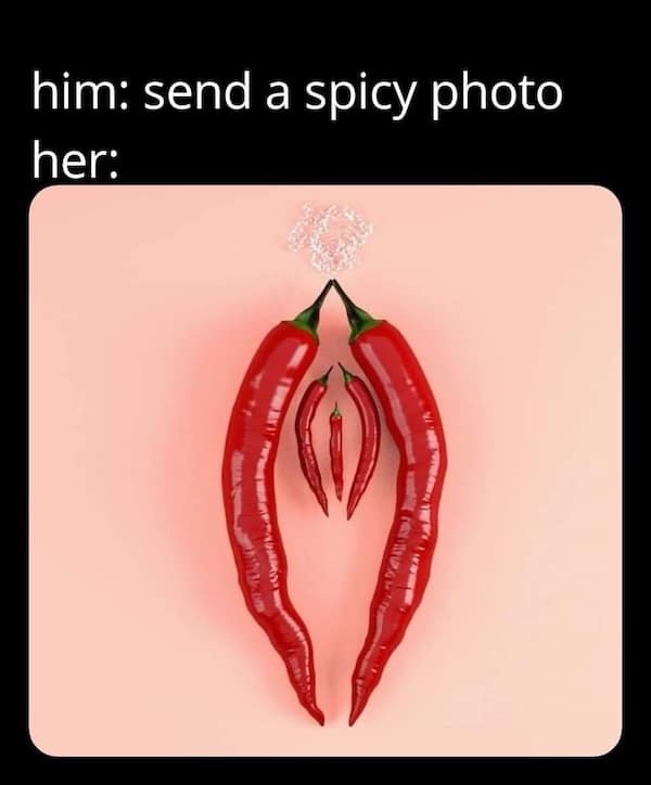 Chili peppers arranged suggestively under “send a spicy photo” caption—playful dirty meme pun.