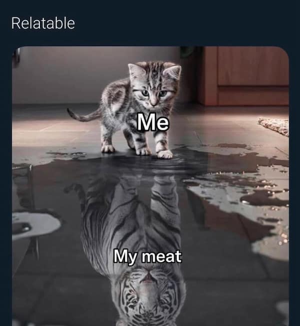 Kitten seeing a tiger in its reflection labeled “Me / My meat”—confidence-boosting innuendo.