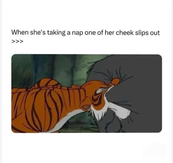Cartoon tiger nuzzling another animal with a caption about a “cheek” slipping out—animated dirty memes remix.