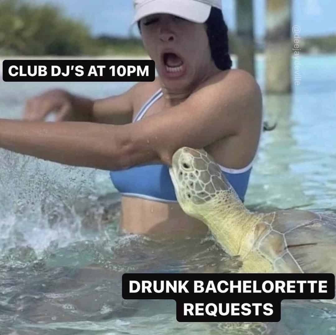 Woman startled by turtle labeled as drunk bachelorette requests.