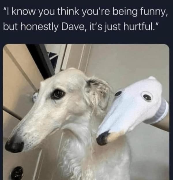 Long-nosed borzoi beside a white sock puppet with drawn eyes that mimics its snout.