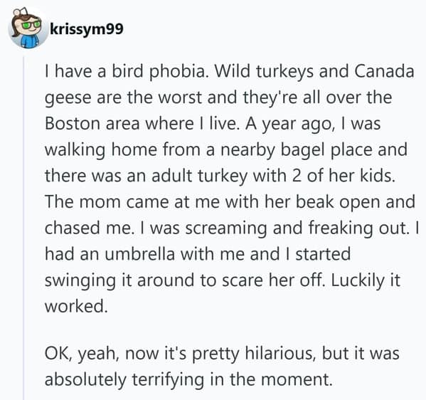 A woman shares her fear of birds and how she fended off a turkey with an umbrella during a hilariously embarrassing moment in Boston.