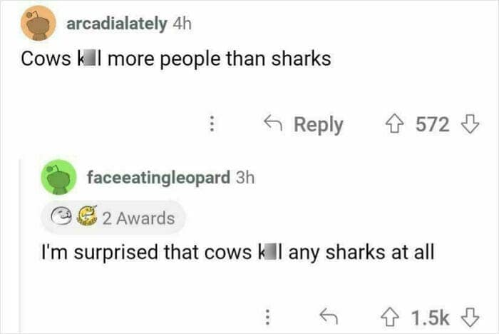 Comment thread joke about cows killing sharks