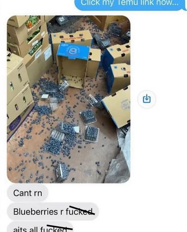 blueberries spilled all over a warehouse floor with chaotic texts explaining the mess.