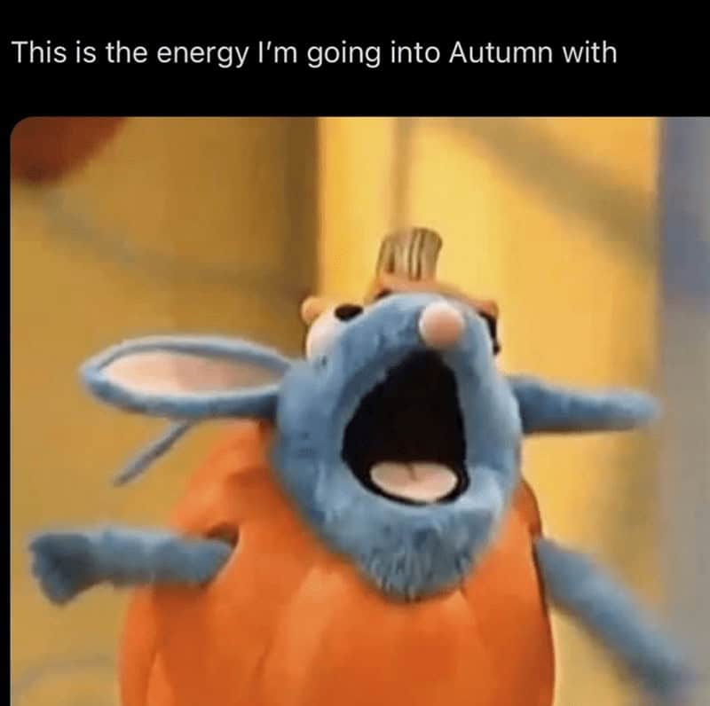 A funny autumn meme with an excited mouse in a pumpkin showing the right energy for fall.