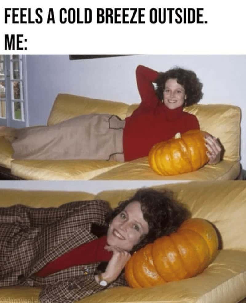 A funny autumn meme with Sigourney Weaver cuddling a pumpkin after feeling a cold breeze.