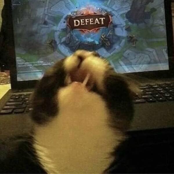 Close-up of a tuxedo cat mid-yowl in front of a laptop screen that says “DEFEAT.”
