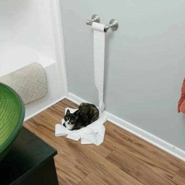 Tortoiseshell cat sitting on a pile of unraveled toilet paper beneath the roll in a bathroom.
