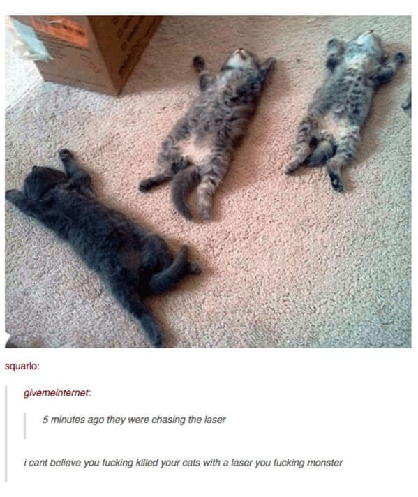Three kittens dramatically passed out on the carpet after chasing a laser, embodying peak funny cat tumblr posts energy.